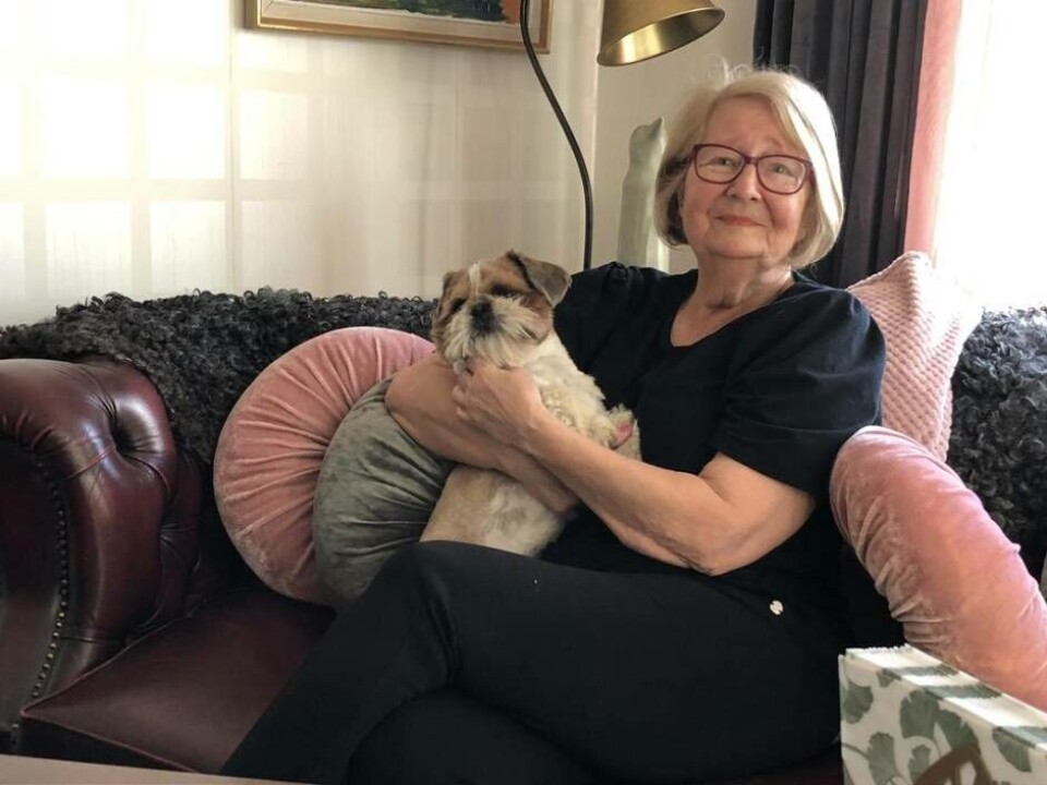 20 år på tidningen. Västerås Tidnings tidigare vd Britt Hallberg njuter av pensionen, bland annat med hunden Virus. 20 år på tidningen. Västerås Tidnings tidigare vd Britt Hallberg njuter av pensionen, bland annat med hunden Virus.