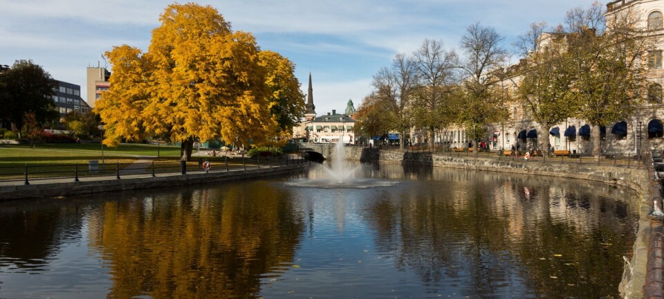 Morgonrapporten: Stöld vid hotell