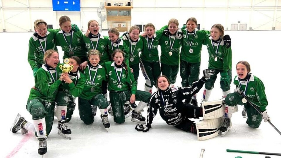 Cupsegrare. VSK:s F16-lag vann i Rättvik. Foto: VSK Bandy Cupsegrare. VSK:s F16-lag vann i Rättvik. Foto: VSK Bandy