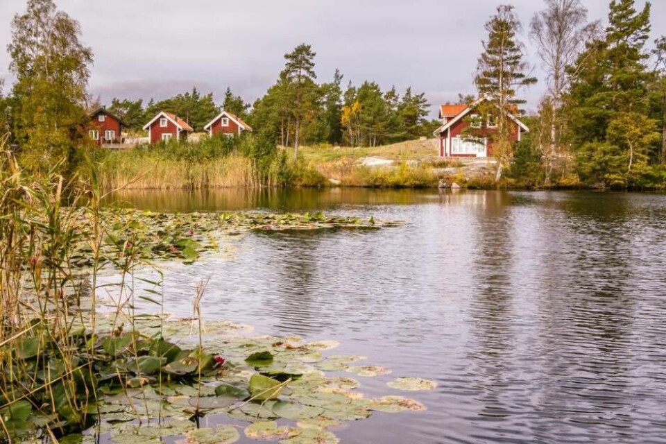De sålda fritidshusen i Västmanlands län hade ett genomsnittligt pris på 1,8 miljoner kronor. Foto: Mostphotos De sålda fritidshusen i Västmanlands län hade ett genomsnittligt pris på 1,8 miljoner kronor. Foto: Mostphotos