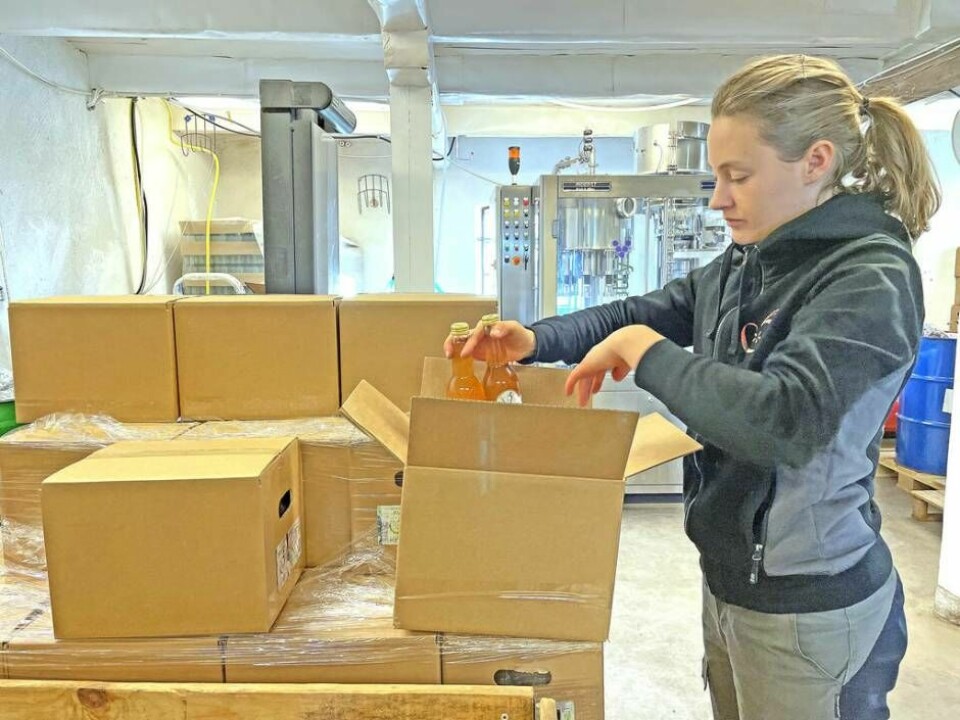 Johanna Ryberg packar lådor redo att fraktas till Systembolaget. Foto: Fredrik Klevenhaus