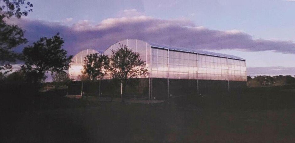 Så här är visionen att padelanläggningen ska se ut när bygglovet har beviljats. Foto: Portico Sport