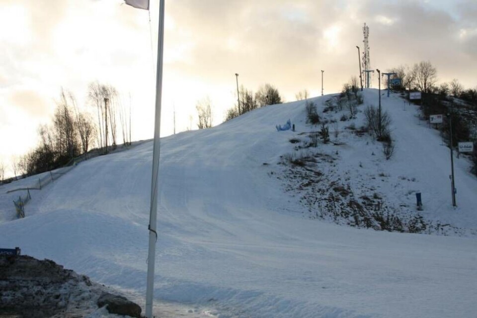Vedbobacken i Västerås. Foto: Sofie Tejre