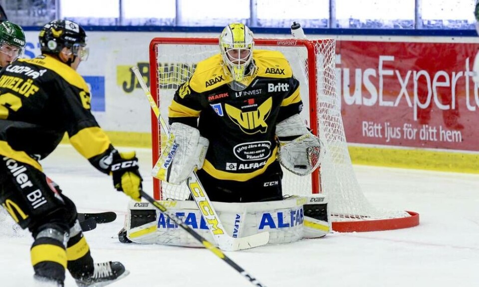 Marcus Dahlbom vaktade målet när VIK förlorade mot Pantern med 2–1. Foto: STEFAN LINDGREN
