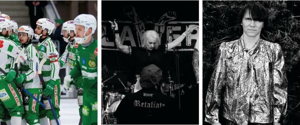 VSK tar emot Hammarby i bandyns elitserie på tisdag, punkkväll på fredag på O'learys och artistlegendaren Jakob Hellman gästar Västerås. Foto: Stefan Lindgren/Pressbild/Martin Lindeborg