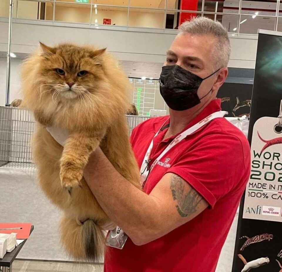 Världens finaste katt Sivan tillsammans med husse Sören Kedert. Foto: Privat