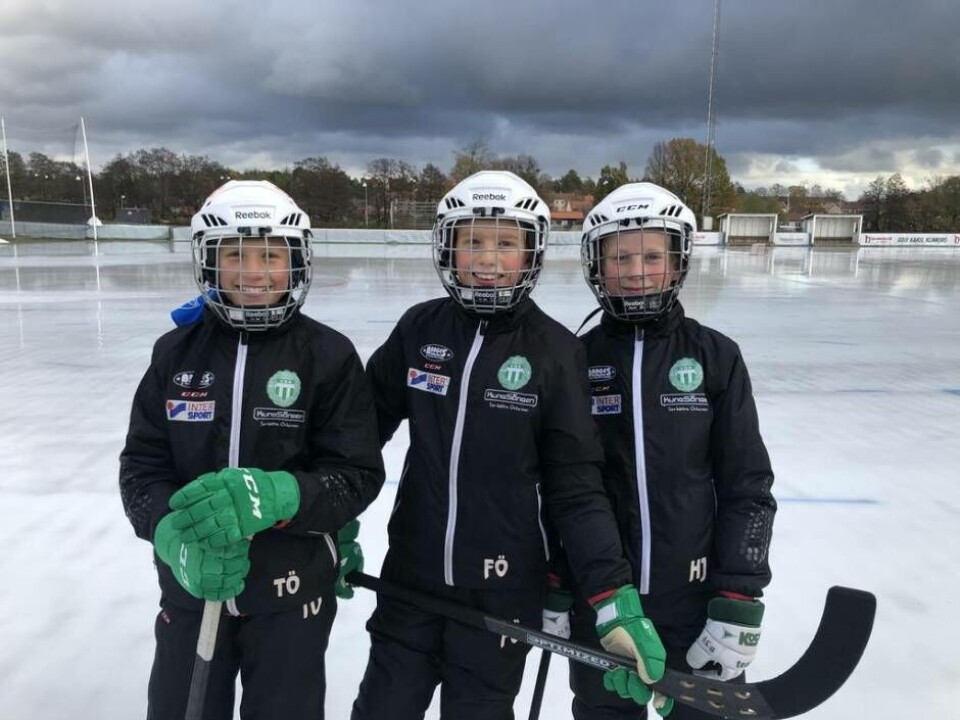 Thea Öhlin, Felix Öhlin och Hugo Johansson. Foto: Jonas Edberg
