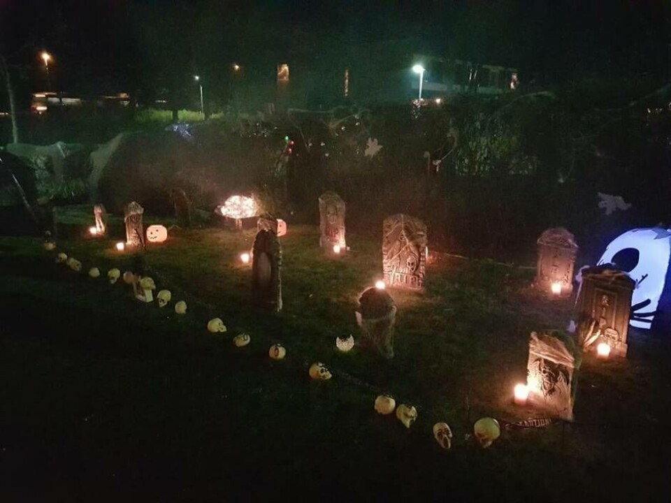 Familjen Johanssons trädgård på Rönnby är dekorerad med alla möjliga halloween-detaljer. Allt sätts av tradition upp den 31 oktober och brukar locka många nyfikna barn, som även bjuds på godis. Foto: Privat