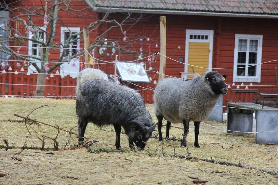 Topp 10: Västerås hetaste besöksmål