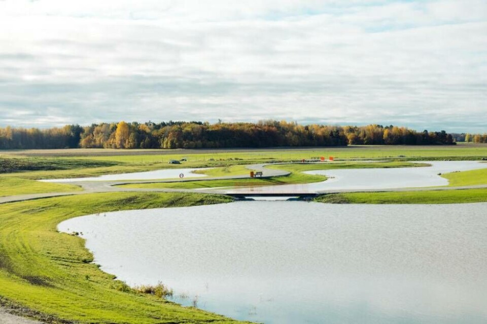 Den nya vårmarksparkrn på Johannisberg ska både rena dagvatten innan det rinner ut i Mälaren – och fungera som rekreationsområde för västeråsarna. Foto: Avig Kazanjian