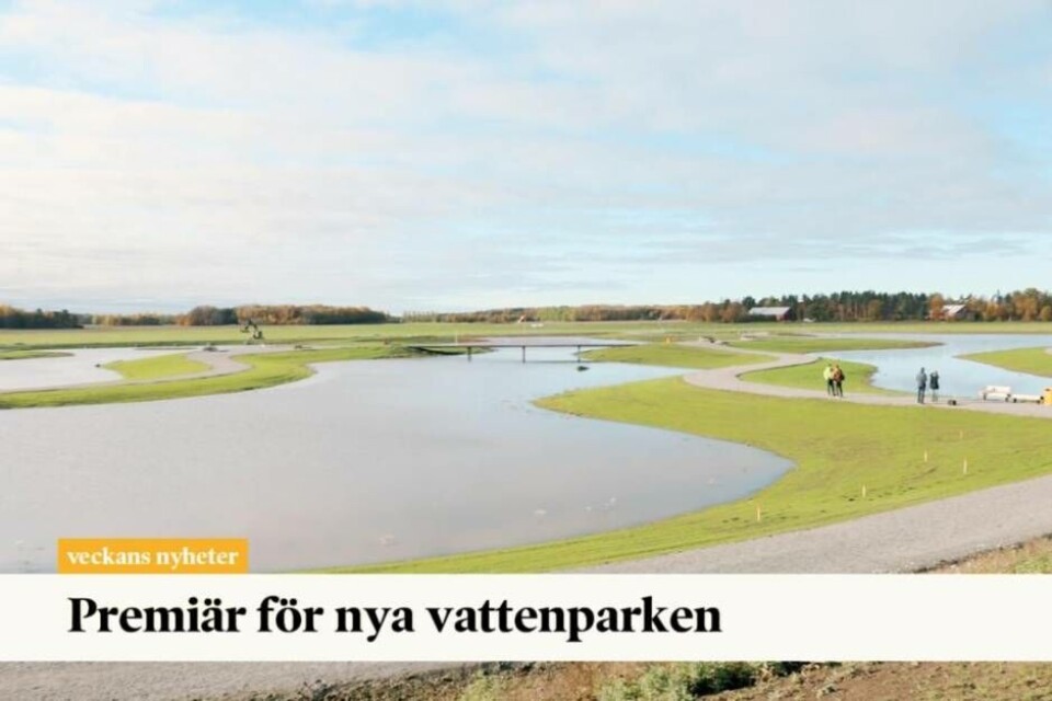 Västerås har fått en vårmarkspark på Johannisberg. Den ska både rena dagvatten innan det rinner ut i Mälaren – och fungera som rekreationsområde för västeråsarna. Foto: Northvolt