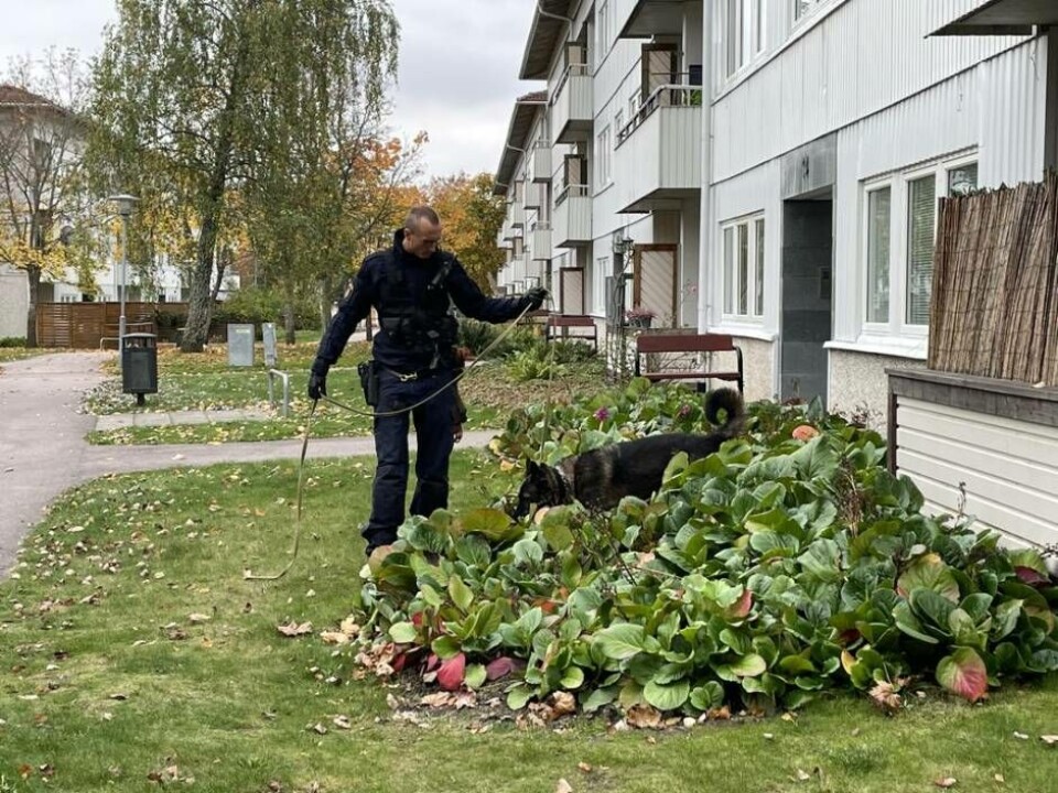 Polishunden söker igenom området. Foto: Jonas Edberg