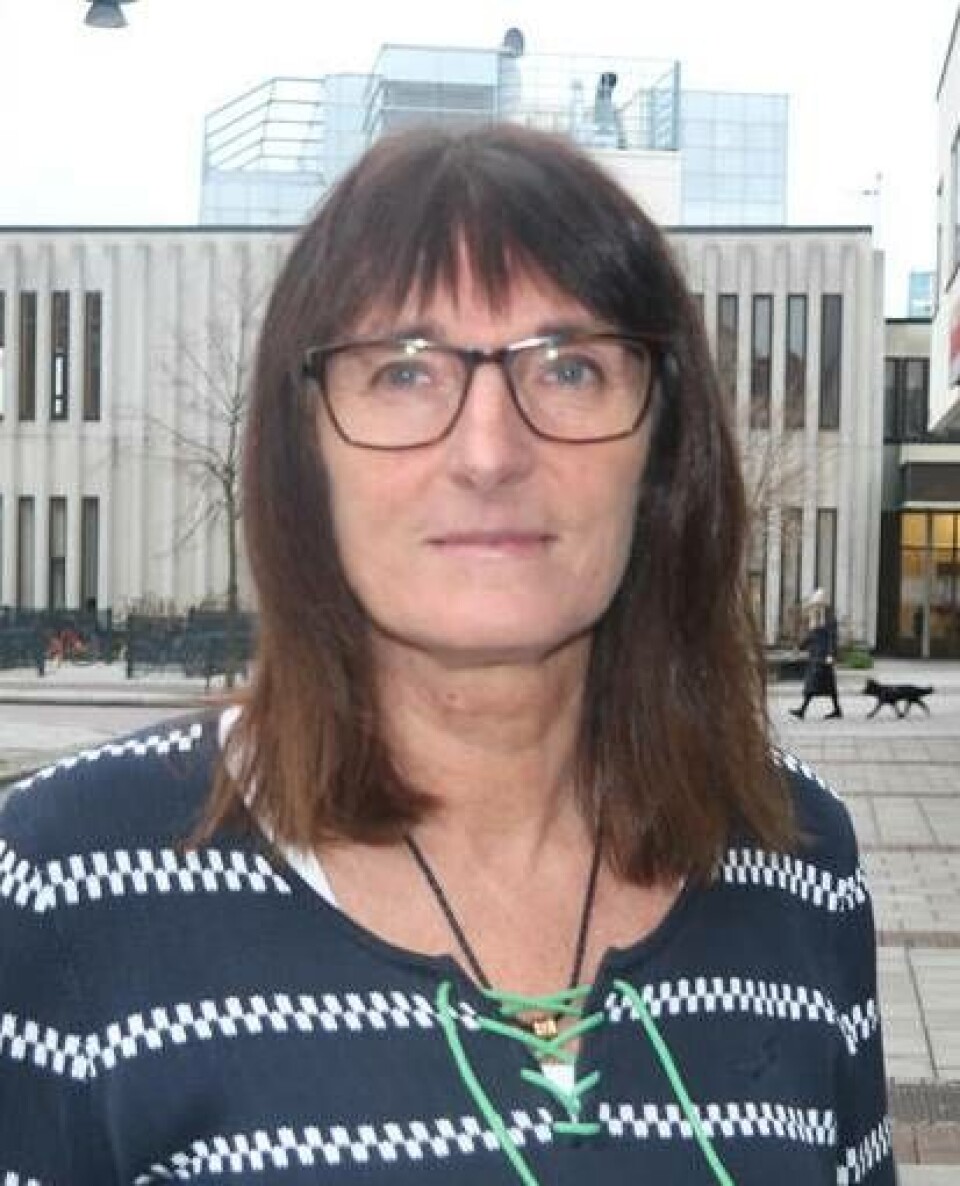 Agneta Massaro, chef på polise bedrägerigruppen vid polisen i Västmanland