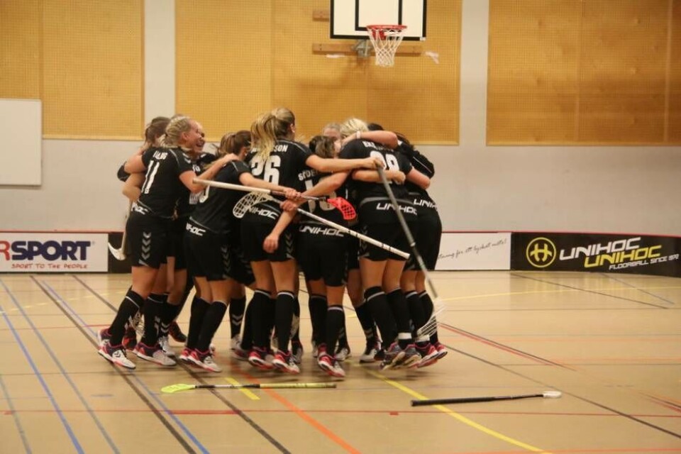 Västerås innebandy fick störst andel av pengarna från Folkspel. Foto: Jonas Edberg