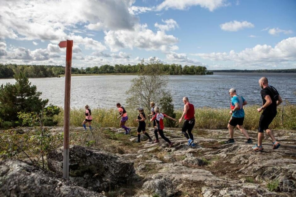 I naturskön miljö avgörs Ängsö Trail Run nästa lördag. Förutom löpning bjuds det på foodtrucks och en klättervägg. Foto: Johan Larsson