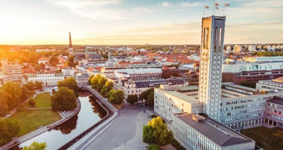 Foto: Avig Kazanjian/avigphoto.se