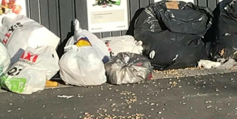 Insändarskibenten har tröttnat på att det är så skäpigt runt sophusen på Nordanby äng. Foto: Privat