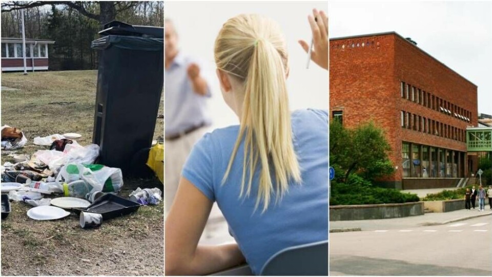 Skräpet ska bort, skolan ska bli bättre och böcker ska kunna lånas även på söndagar. Foto: Läsarbild/Mostphotos/J.Edberg