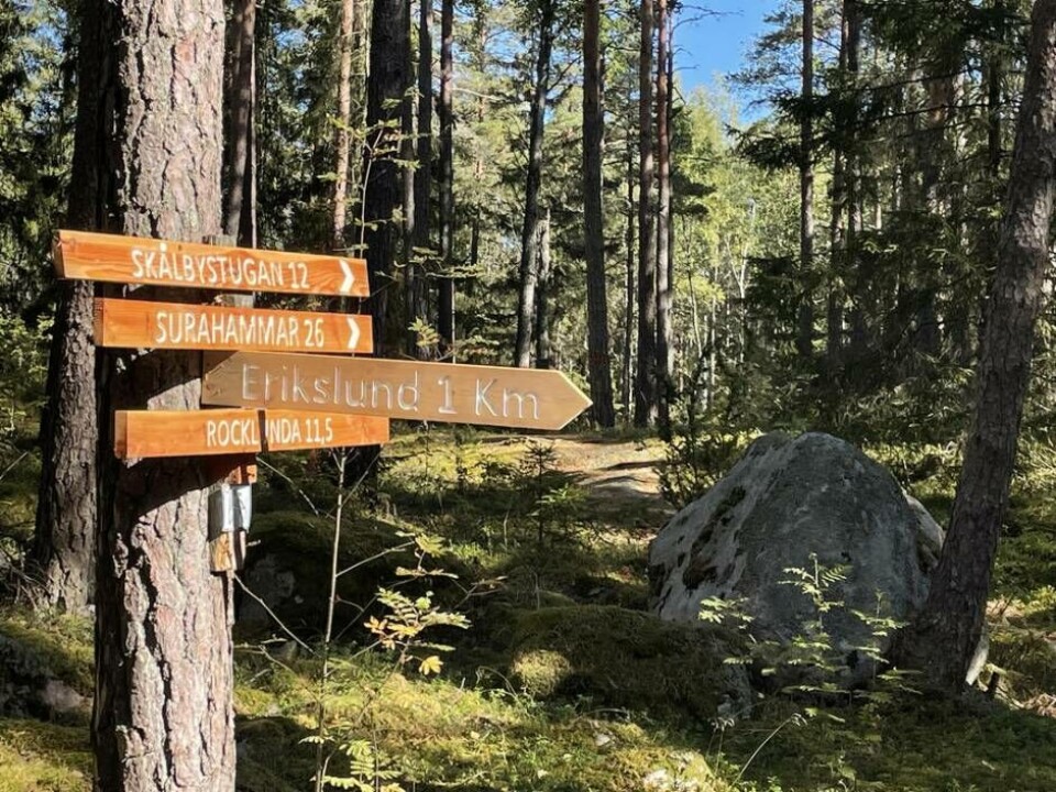Avståndsskyltar – bara att välja väg utifrån vandringshumör. Foto: Jonas Bergkvist Avståndsskyltar – bara att välja väg utifrån vandringshumör. Foto: Jonas Bergkvist