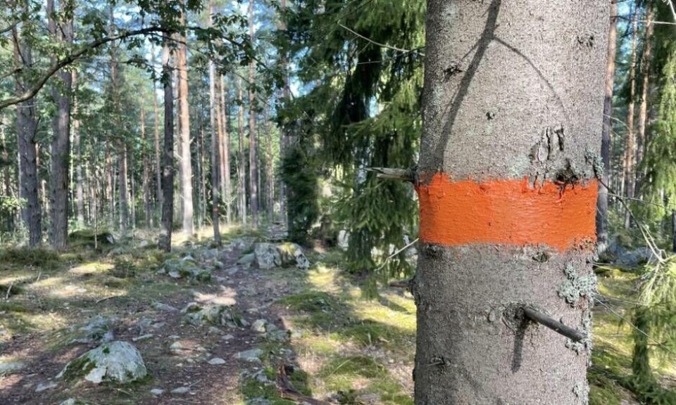 Västerås stad har lagt ner ett stort arbete med att markera upp Bruksleden än mer. Foto: Jonas Bergkvist Västerås stad har lagt ner ett stort arbete med att markera upp Bruksleden än mer. Foto: Jonas Bergkvist