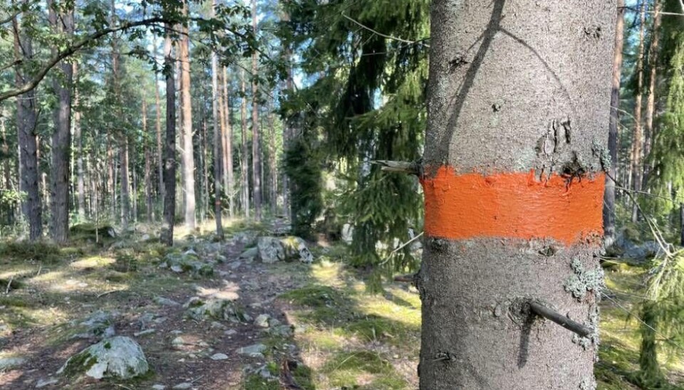 Foto: Jonas Bergkvist