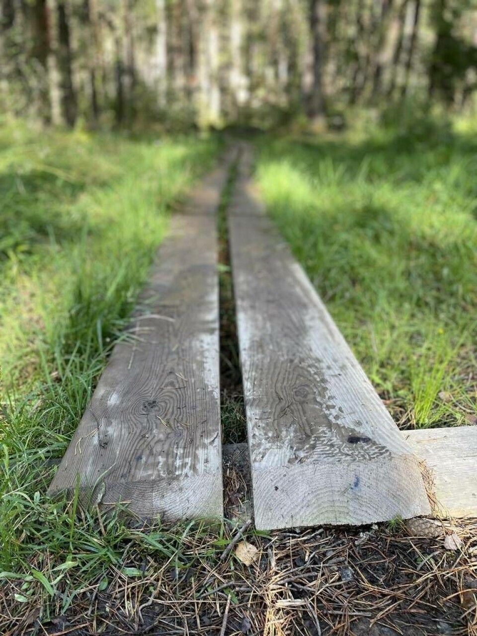 Foto: Jonas Bergkvist