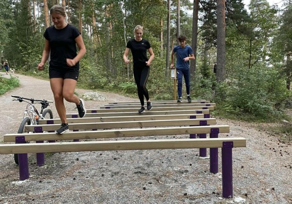 Utmanande träningsmetod. OCR-utövarna Alice Åsell, Elin Björklind och Erik Lång från Västerås Friidrottsklubb tar sig an hinderbanan på Rocklunda. Foto: Jennie Lång Utmanande träningsmetod. OCR-utövarna Alice Åsell, Elin Björklind och Erik Lång från Västerås Friidrottsklubb tar sig an hinderbanan på Rocklunda. Foto: Jennie Lång