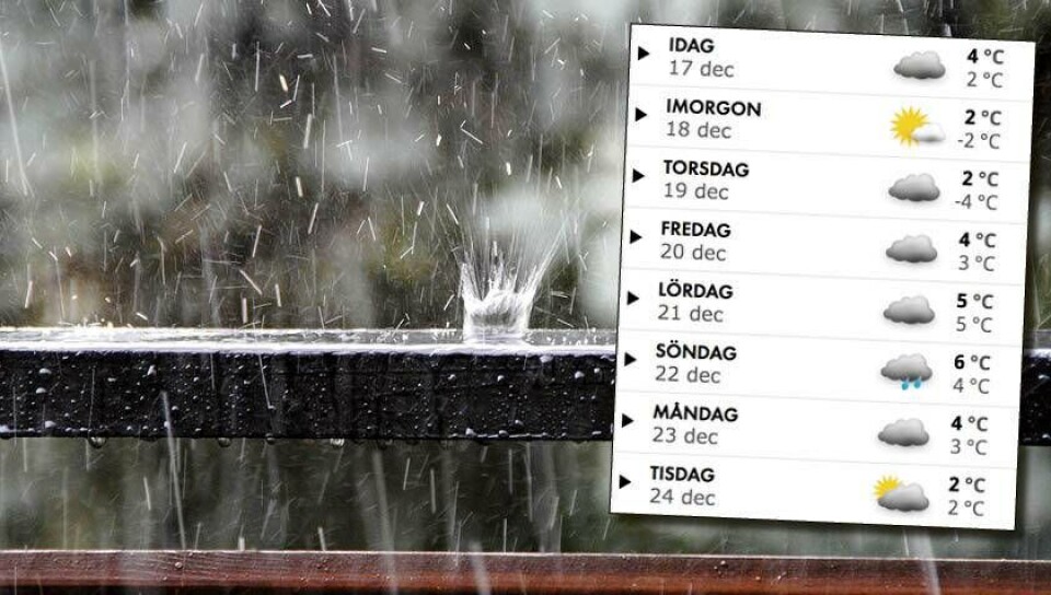 Glöm snö i jul – det blir blött och grått
