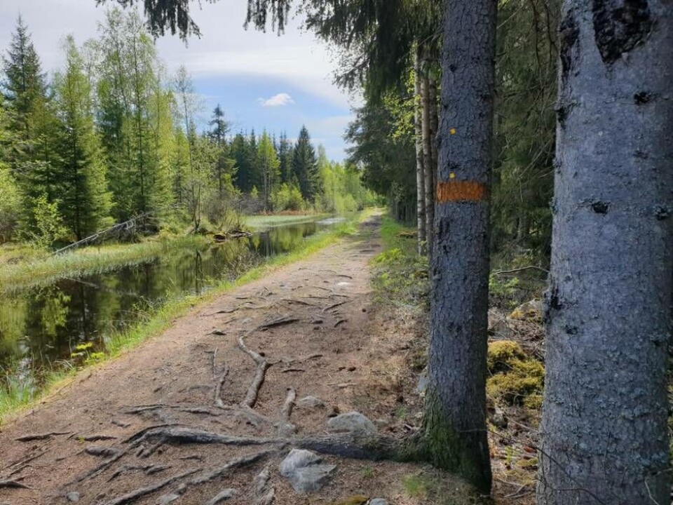 4 september – Bruksledens dag. Evenemanget är tillbaka och erbjuder många kostnadsfria aktiviteter under dagen. Foto: Angelie Hellström Göransson/Bruksledaren