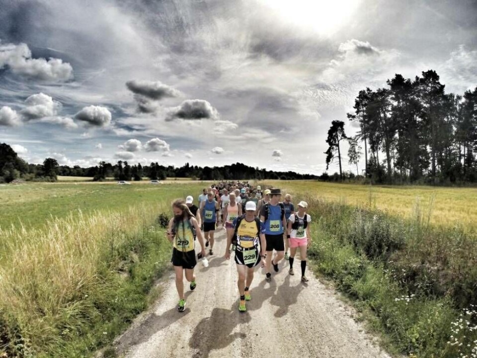 Musik och motion med mera. The Rap Race är en heldag där besökare kan ta del av både musik och konst parallellt med att de själva eller deras vänner springer i skogarna i närheten. Foto: Pressbild×1 / 2Visa bildtextBild 1 av 2