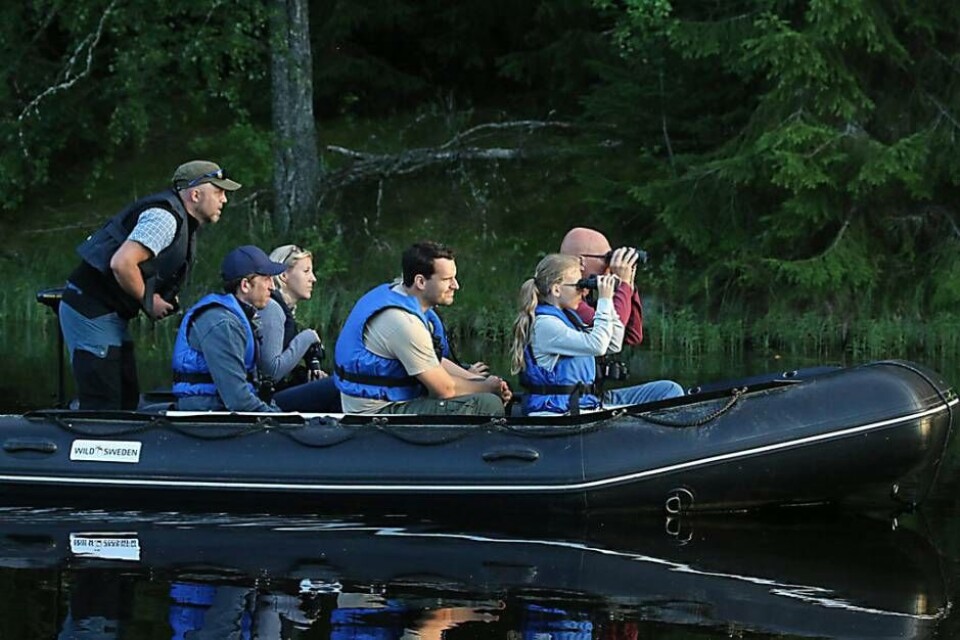 Wild Sweden låter turister uppleva den västmanländska naturen. Foto: Wild Sweden