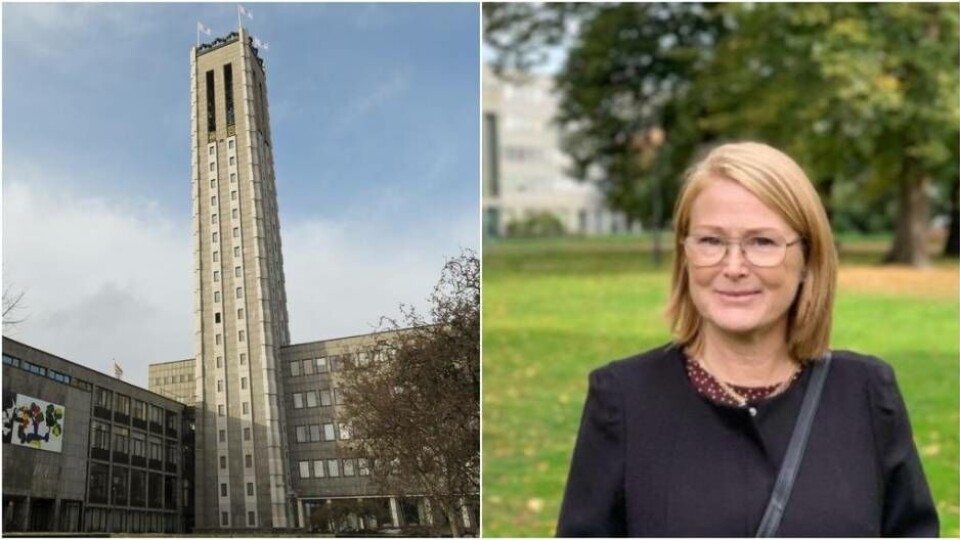 Christina Klang blir ny direktör för Västerås stads individ- och familjeförvaltning. Foto: Mostphots/Västerås stad