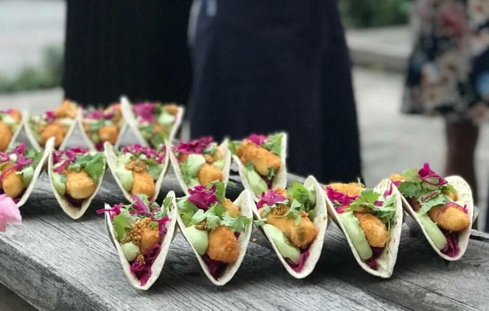 Amirs recept på tacos med friterad halloumi 4 personer, som även serveras på EAT matstudio. Foto: EAT matstudio Amirs recept på tacos med friterad halloumi 4 personer, som även serveras på EAT matstudio. Foto: EAT matstudio