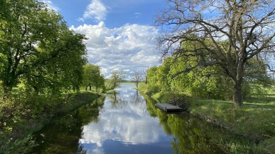 En nyhet för i år på hemsidan Trails of Västmanland är beskrivningar av hur man kan paddla utmed Strömsholms kanal. Foto: Adam Lindgren