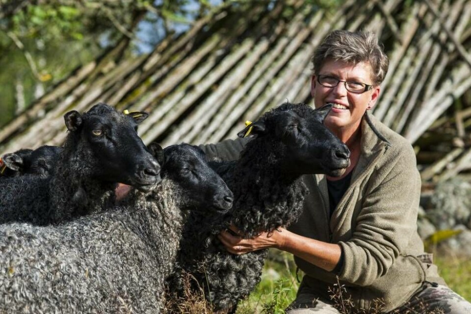Hellen Wistrand startade Ulvsbomuren Vildmark & Lantliv 2007. Nu är företaget nominerat till det Stora turismpriset. Foto: John van Helvert