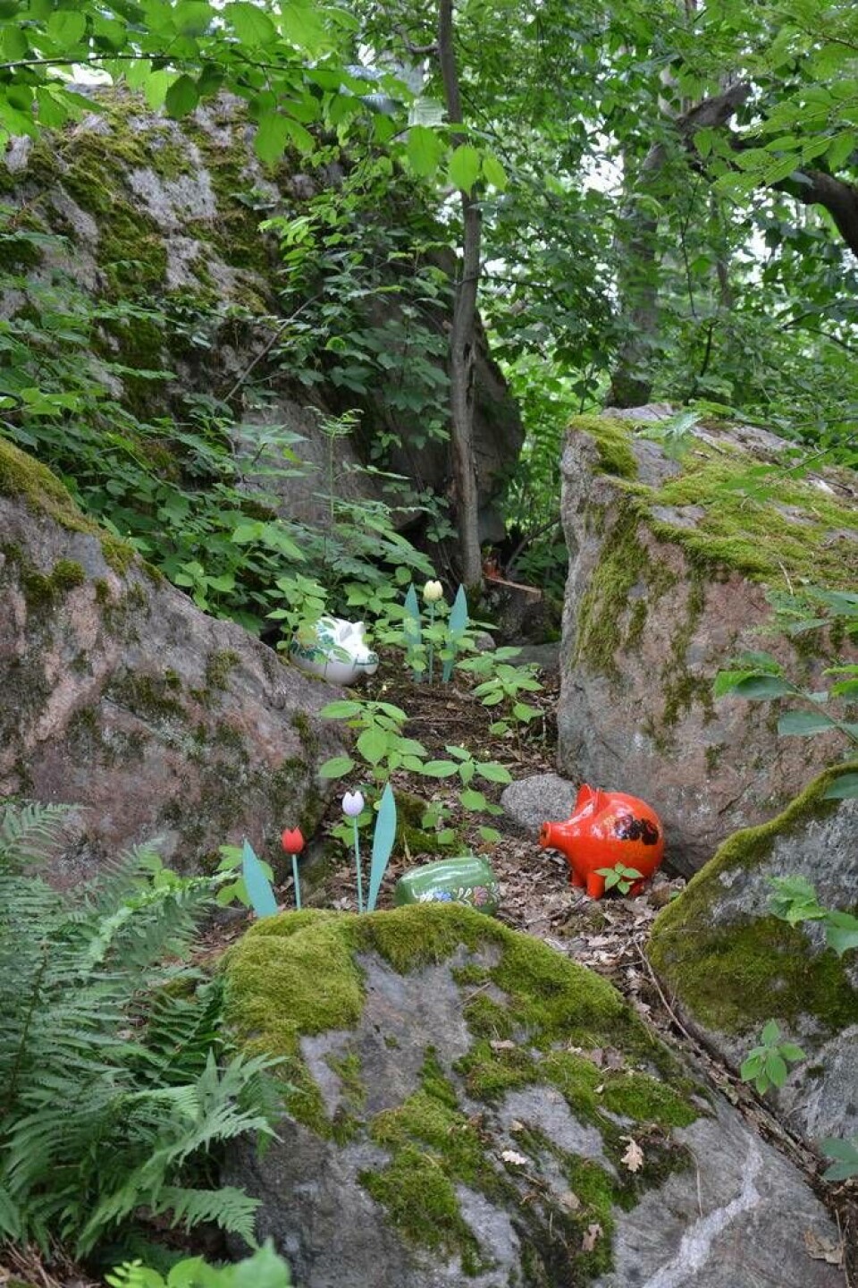 Några av grisarna. Foto: Helena Andersson×1 / 4Visa bildtextBild 1 av 4