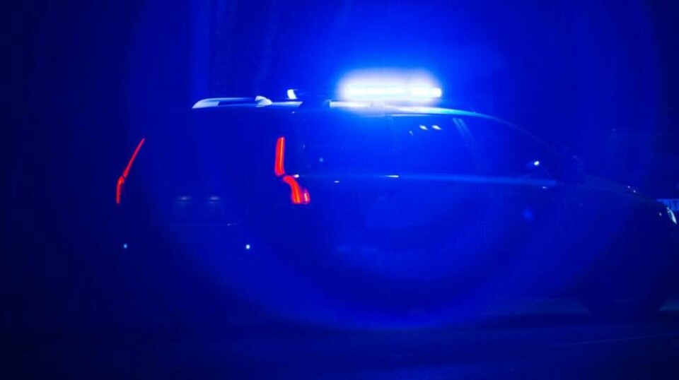 Polis grep våldsam vandal