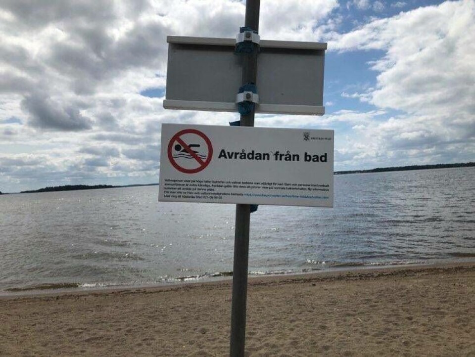 Foto: Jonas Bergkvist
