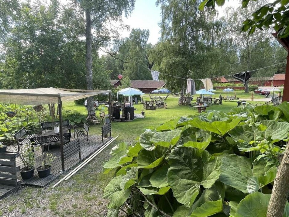 Grönskande uteservering vid Kanalkaféet. Foto: Jonas Edberg