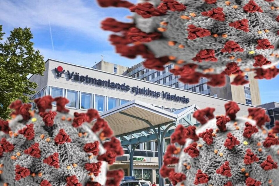 Foto: Foto: PIA NORDLANDER (BILDEN ÄR ETT MONTAGE)