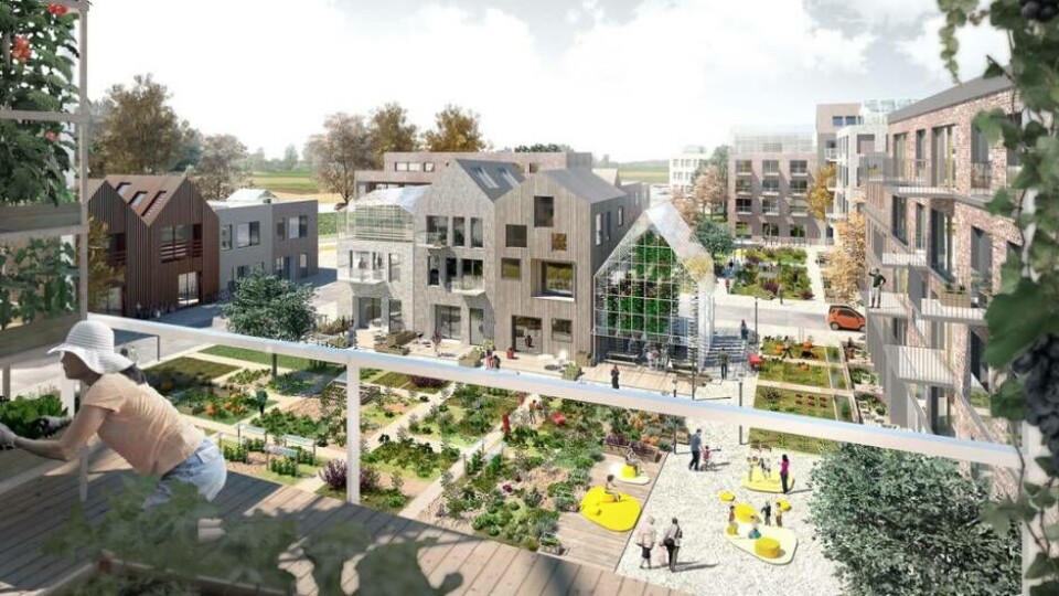 Här ska en hållbar stadsdel byggas