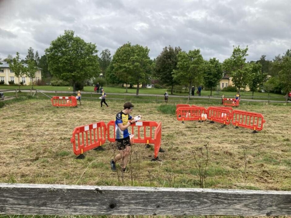 Labyrintorientering är orienteringens chans att eventuellt bli en OS-gren i framtiden. OK Hedströmmen hade byggt upp labyrintformationer i en hage där det gällde att hålla huvudet kallt medan kontrollerna tas i rätt ordning. I förgrunden en löpare från Köping-Kolsva OK. Foto: Björn Lindén