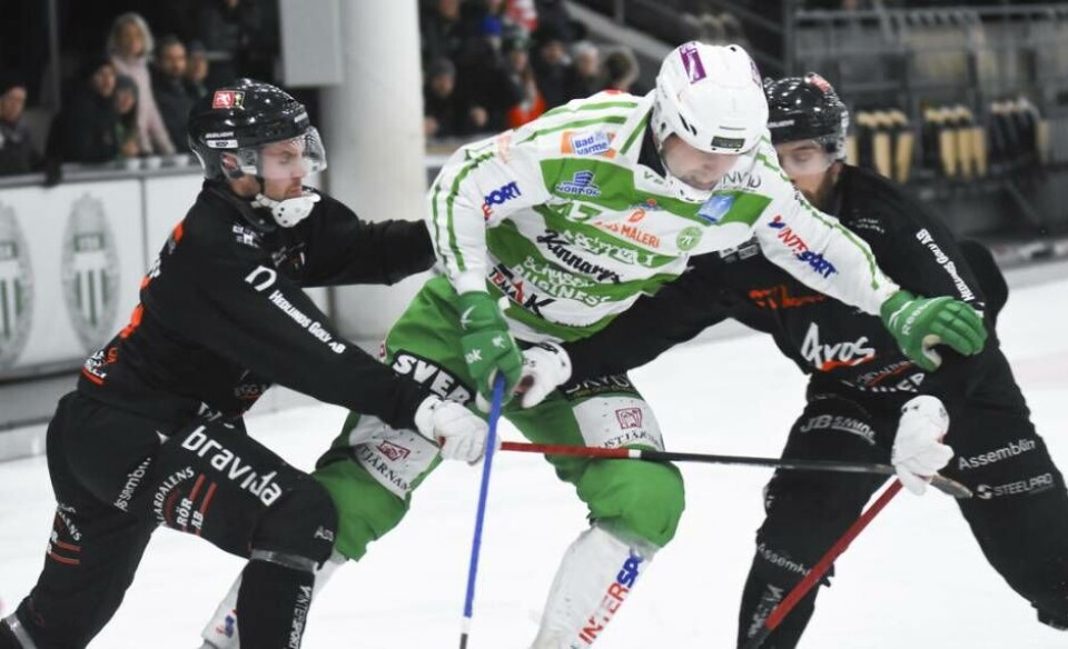 Foto: Stefan Lindgren×1 / 10Visa bildtextBild 1 av 10