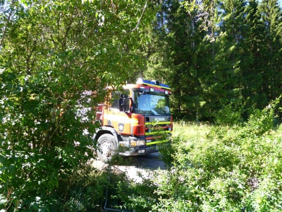 Stor skogsbrand vid Öjesjön
