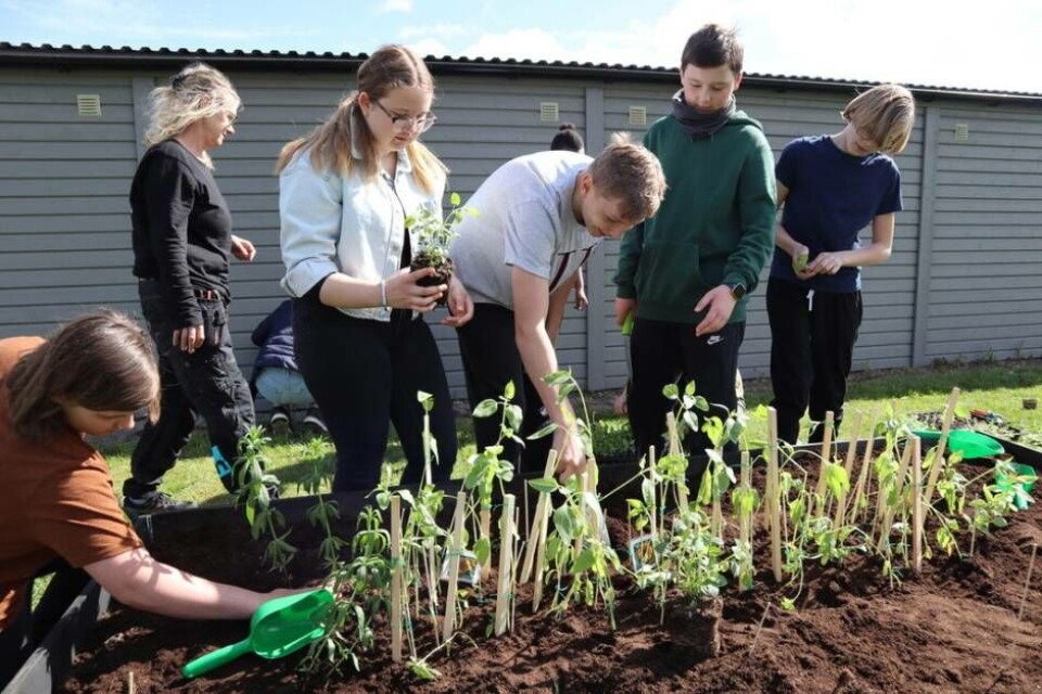Foto: Skälbyskolan×1 / 5Visa bildtextBild 1 av 5