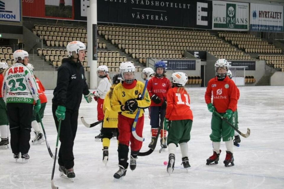 Tjejerna kom från 13 olika föreningar och var mellan 6 och 16 år gamla. Foto: Helena Andersson