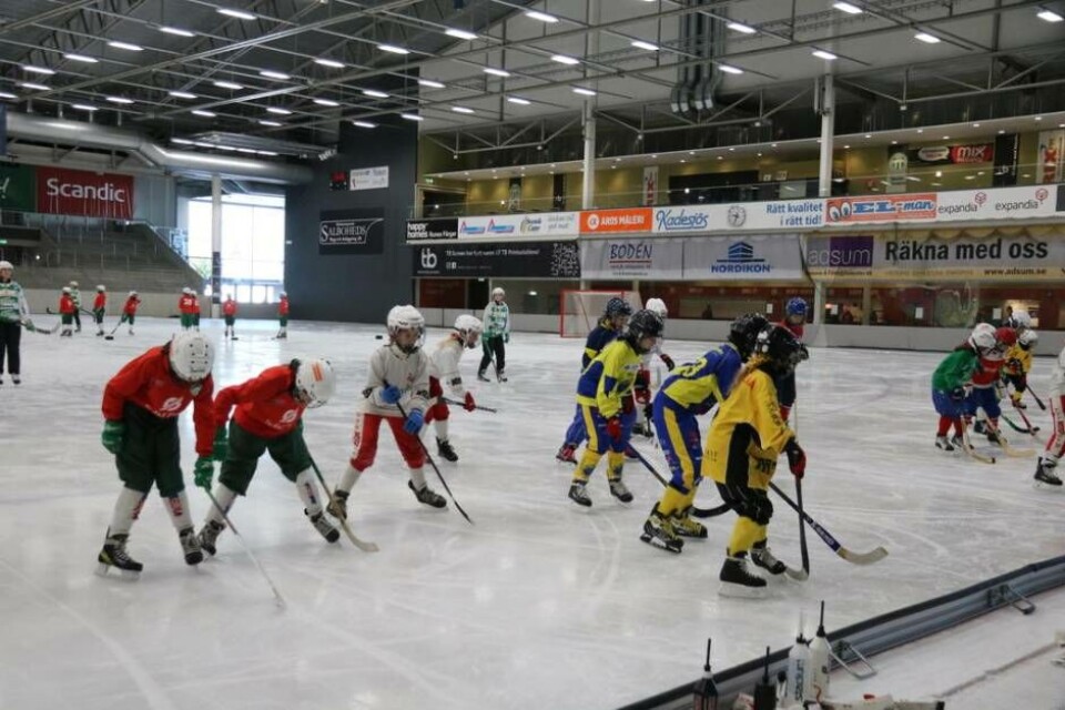 Det är även en konst att åka baklänges. Foto: Helena Andersson