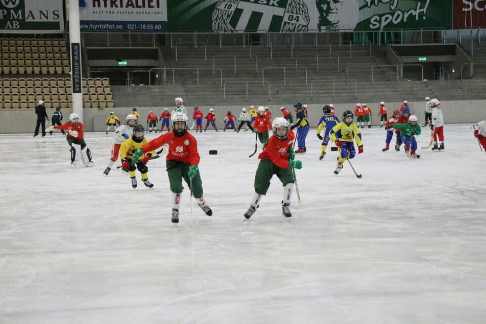 Över hundra bandytjejer indelade i fem grupper deltog på Flickbandyns dag. Till vänster lär A-lagskeepern Sara Carlström ut ett och annat knep. Foto: helena andersson Foto: Helena Andersson