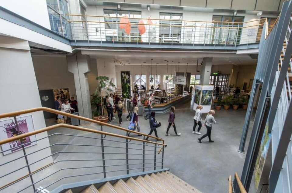Mälardalens högskola storsatsar på ett nytt civilingenjörsprogram.