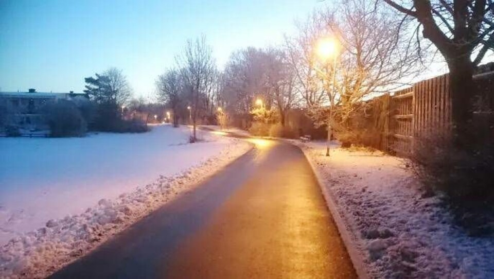 Gång- och cykelväg som är sopsaltad. Foto: Västerås stad